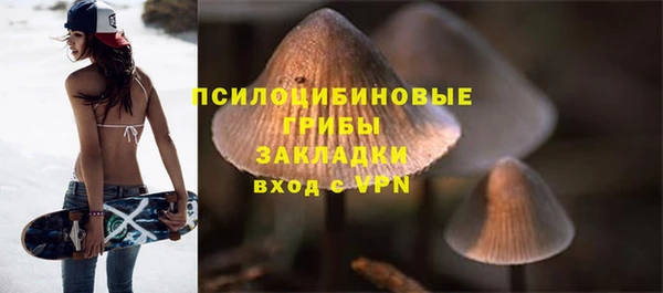 гашик Магас