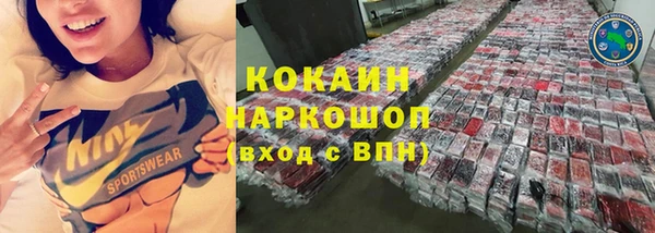 гашик Магас