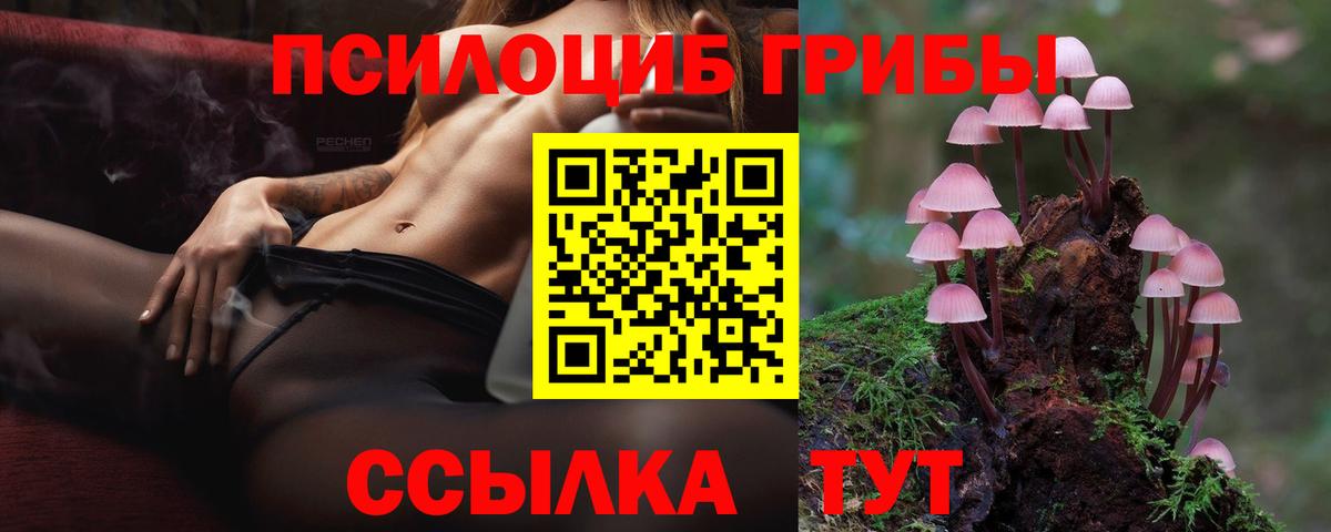 как найти наркотики  Вход с VPN  Электрогорск  Галлюциногенные грибы GOLDEN TEACHER  Галлюциногенные грибы Magic Shrooms 