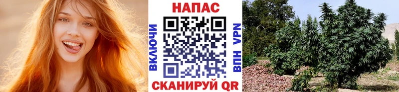 кракен маркетплейс  Электрогорск  МАРИХУАНА LSD WEED  наркота 